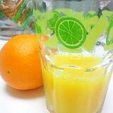 断食明けの回復食（１）手搾りオレンジジュース